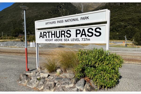 紐西蘭 | 阿爾卑斯山號高山觀景火車 TRANZ ALPINE 選位攻略全解析