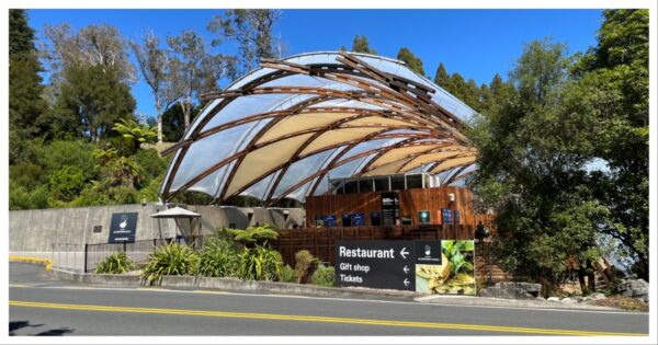 紐西蘭北島 | 星空般的懷托摩螢⽕蟲洞窟 導覽細節全解析 購票攻略